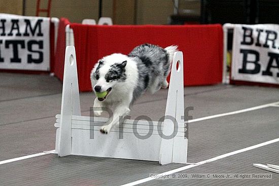 Birmingham Bandits March Madness<br />3/15/2009<br />Shocco Springs, Al