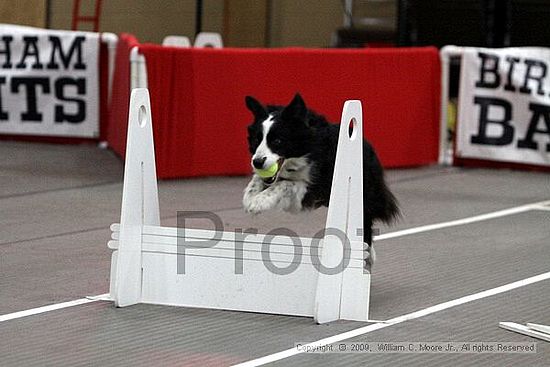 Birmingham Bandits March Madness<br />3/15/2009<br />Shocco Springs, Al