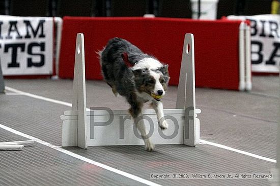 Birmingham Bandits March Madness<br />3/15/2009<br />Shocco Springs, Al