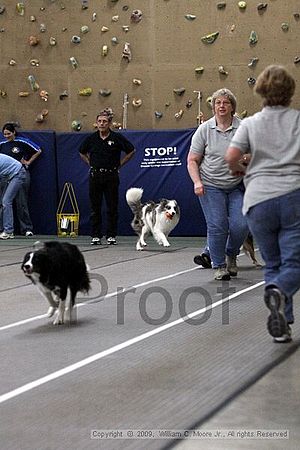 Birmingham Bandits March Madness<br />3/15/2009<br />Shocco Springs, Al