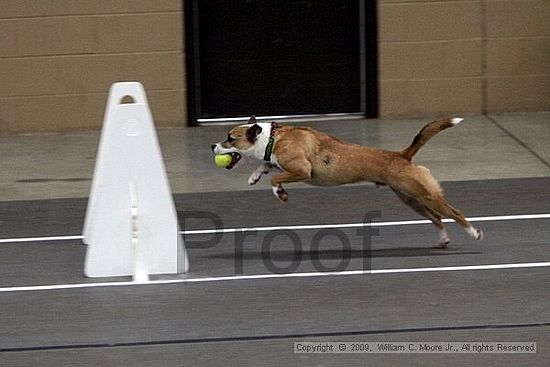 Birmingham Bandits March Madness<br />3/15/2009<br />Shocco Springs, Al