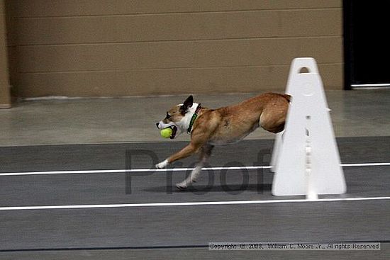 Birmingham Bandits March Madness<br />3/15/2009<br />Shocco Springs, Al