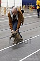 img_4616_thm.jpg