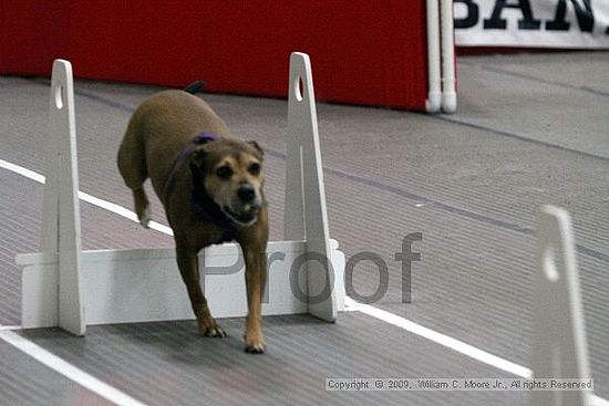 Birmingham Bandits March Madness<br />3/15/2009<br />Shocco Springs, Al