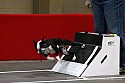 img_4639_thm.jpg