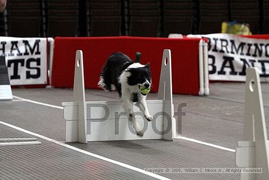 Birmingham Bandits March Madness<br />3/15/2009<br />Shocco Springs, Al