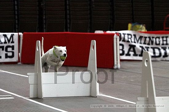 Birmingham Bandits March Madness<br />3/15/2009<br />Shocco Springs, Al