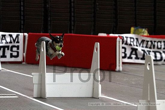 Birmingham Bandits March Madness<br />3/15/2009<br />Shocco Springs, Al