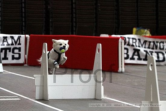 Birmingham Bandits March Madness<br />3/15/2009<br />Shocco Springs, Al