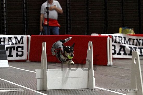 Birmingham Bandits March Madness<br />3/15/2009<br />Shocco Springs, Al