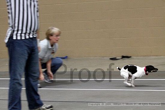 Birmingham Bandits March Madness<br />3/15/2009<br />Shocco Springs, Al