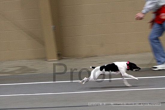 Birmingham Bandits March Madness<br />3/15/2009<br />Shocco Springs, Al