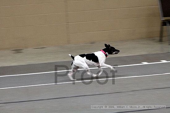 Birmingham Bandits March Madness<br />3/15/2009<br />Shocco Springs, Al