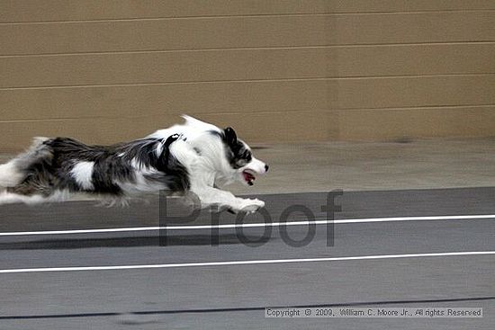 Birmingham Bandits March Madness<br />3/15/2009<br />Shocco Springs, Al