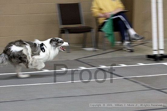 Birmingham Bandits March Madness<br />3/15/2009<br />Shocco Springs, Al