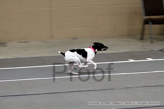 Birmingham Bandits March Madness<br />3/15/2009<br />Shocco Springs, Al