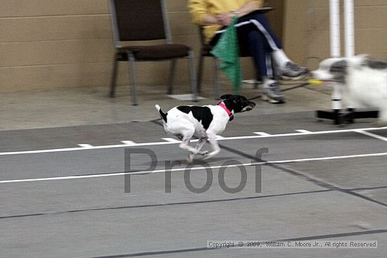 Birmingham Bandits March Madness<br />3/15/2009<br />Shocco Springs, Al