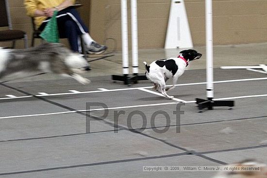 Birmingham Bandits March Madness<br />3/15/2009<br />Shocco Springs, Al