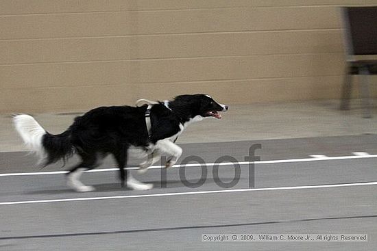 Birmingham Bandits March Madness<br />3/15/2009<br />Shocco Springs, Al