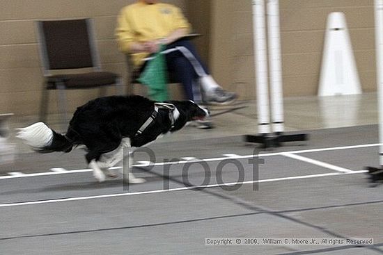 Birmingham Bandits March Madness<br />3/15/2009<br />Shocco Springs, Al