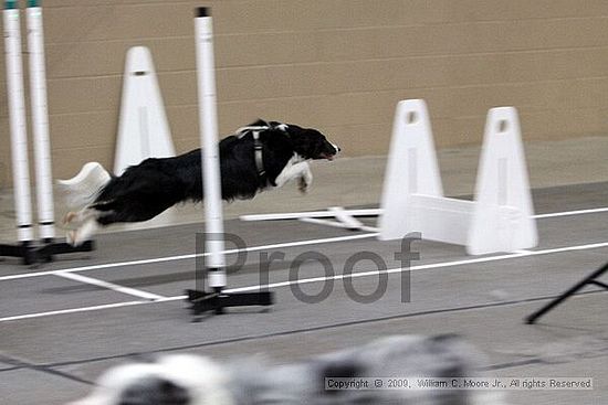 Birmingham Bandits March Madness<br />3/15/2009<br />Shocco Springs, Al