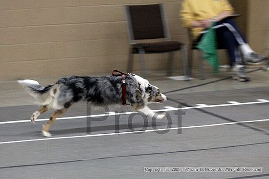 Birmingham Bandits March Madness<br />3/15/2009<br />Shocco Springs, Al