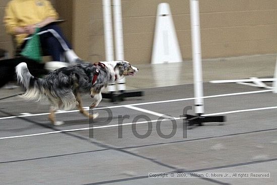 Birmingham Bandits March Madness<br />3/15/2009<br />Shocco Springs, Al