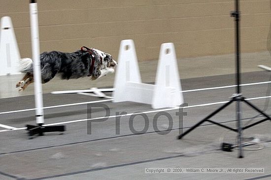 Birmingham Bandits March Madness<br />3/15/2009<br />Shocco Springs, Al
