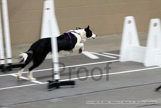 Birmingham Bandits March Madness<br />3/15/2009<br />Shocco Springs, Al