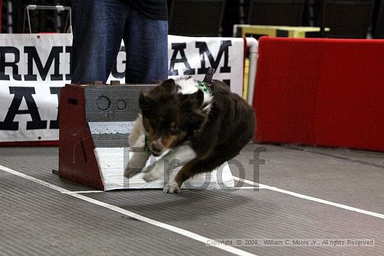 Birmingham Bandits March Madness<br />3/15/2009<br />Shocco Springs, Al