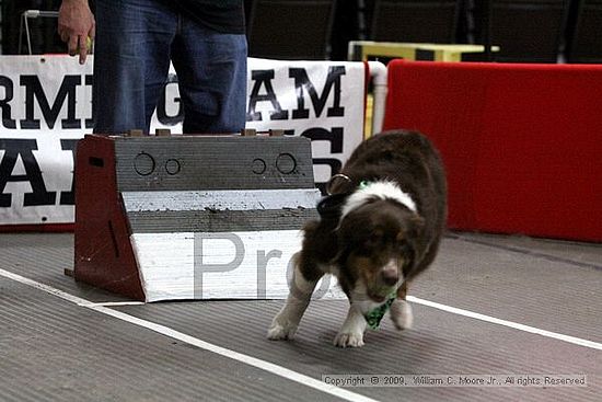 Birmingham Bandits March Madness<br />3/15/2009<br />Shocco Springs, Al