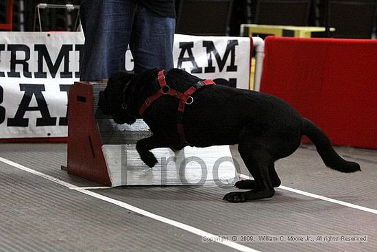 Birmingham Bandits March Madness<br />3/15/2009<br />Shocco Springs, Al