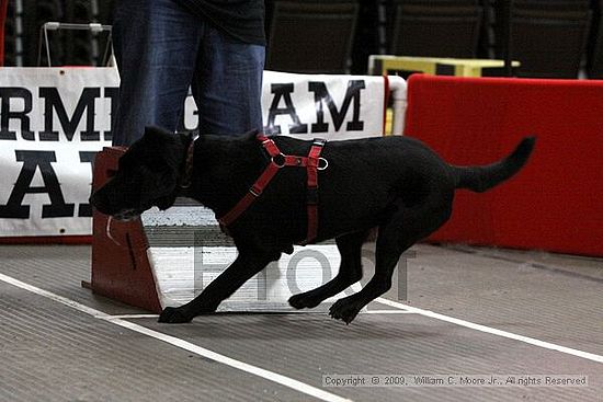 Birmingham Bandits March Madness<br />3/15/2009<br />Shocco Springs, Al