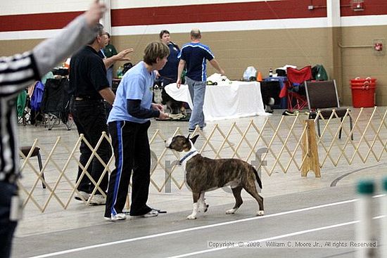 Birmingham Bandits March Madness<br />3/15/2009<br />Shocco Springs, Al