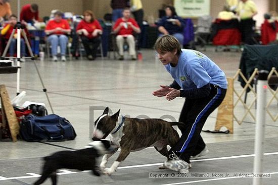 Birmingham Bandits March Madness<br />3/15/2009<br />Shocco Springs, Al