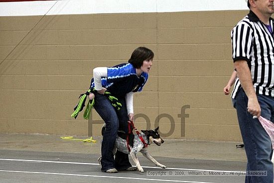 Birmingham Bandits March Madness<br />3/15/2009<br />Shocco Springs, Al