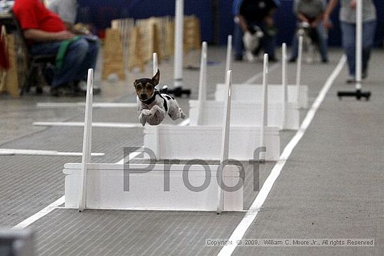 Birmingham Bandits March Madness<br />3/15/2009<br />Shocco Springs, Al