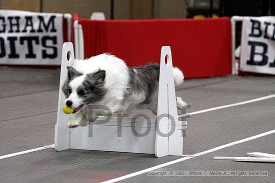 Birmingham Bandits March Madness<br />3/15/2009<br />Shocco Springs, Al