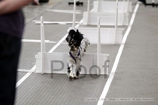 Birmingham Bandits March Madness<br />3/15/2009<br />Shocco Springs, Al