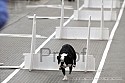 img_4929_thm.jpg