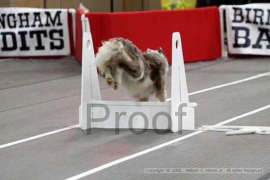 Birmingham Bandits March Madness<br />3/15/2009<br />Shocco Springs, Al