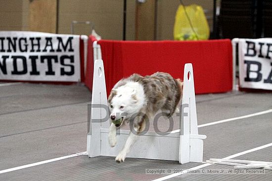 Birmingham Bandits March Madness<br />3/15/2009<br />Shocco Springs, Al