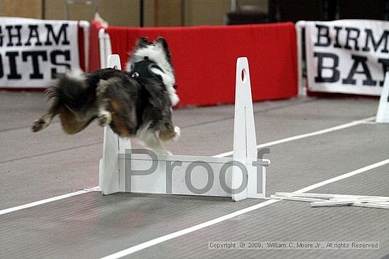 Birmingham Bandits March Madness<br />3/15/2009<br />Shocco Springs, Al