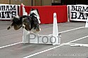 img_4940_thm.jpg