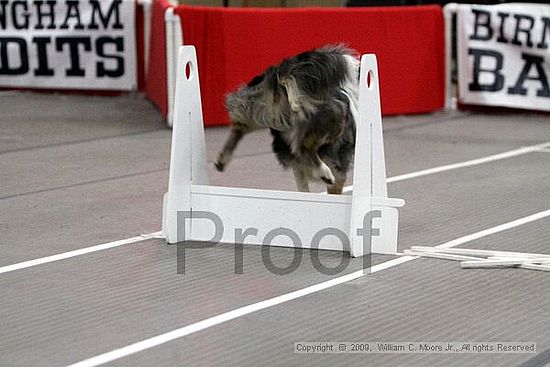 Birmingham Bandits March Madness<br />3/15/2009<br />Shocco Springs, Al