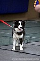 img_4204_thm.jpg