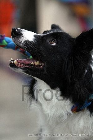 Birmingham Bandits March Madness<br />3/14/2009<br />Shocco Springs, Al