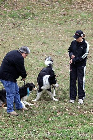 Birmingham Bandits March Madness<br />3/15/2009<br />Shocco Springs, Al