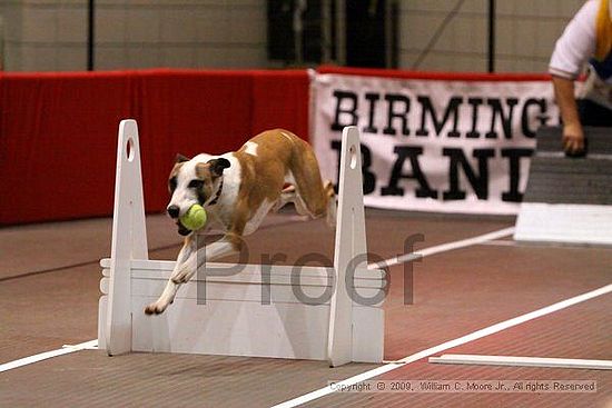 Birmingham Bandits Summer Shootout<br />May 30th, 2009<br />Bessemer Civic Center<br />Bessemer Al