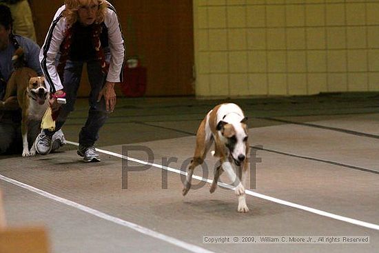 Birmingham Bandits Summer Shootout<br />May 30th, 2009<br />Bessemer Civic Center<br />Bessemer Al